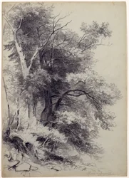 Étude d